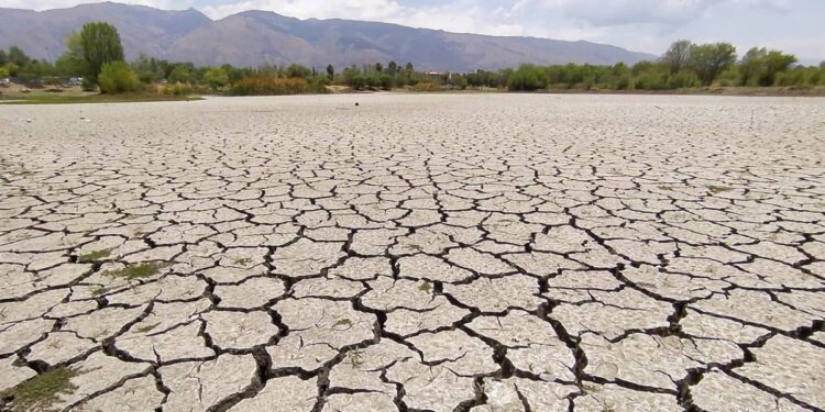 Bolivia enfrenta una severa crisis de sequía: Más de 27,000 familias y 48,000 animales afectados
